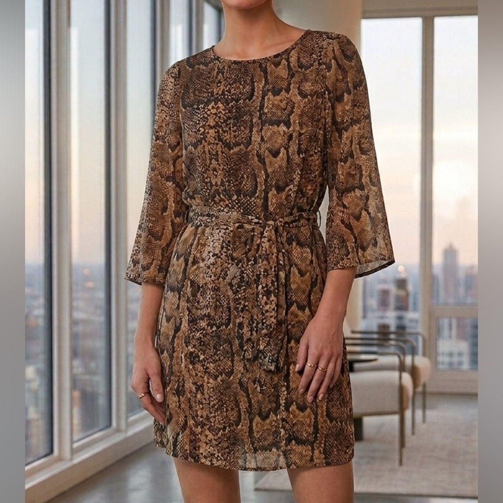 H&M‎ Leopard Print Dress